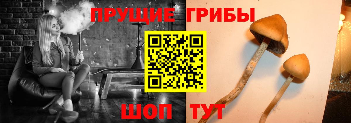 Галлюциногенные грибы мицелий  Вход с VPN  Псилоцибиновые грибы Cubensis  Рыбинск 